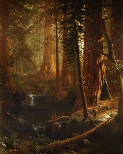 Giant_Redwoods_of_California_by_Alfred_Bierstadt